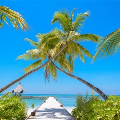 九游会AG手机app下载