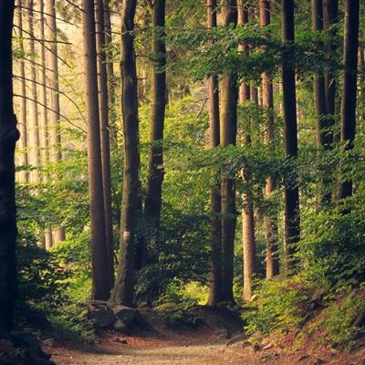 yabo官网网页版app下载