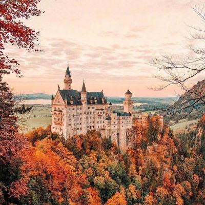 新宝体育官方登录入口