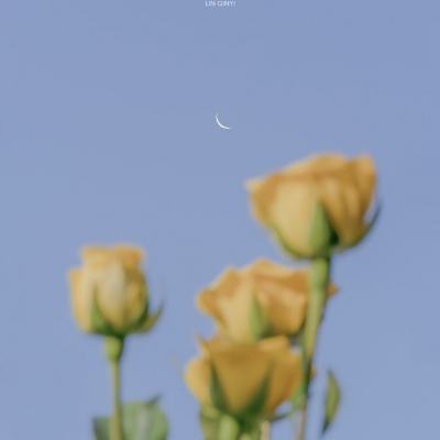 麻将胡了2游戏入口