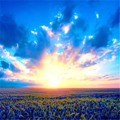 leyu·乐鱼(中国)体育官方网站