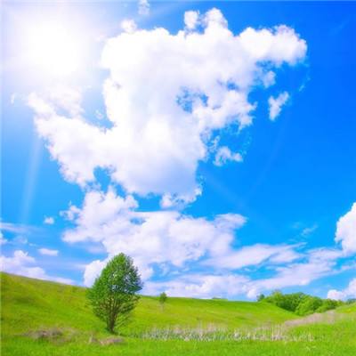 炸金花网络游戏