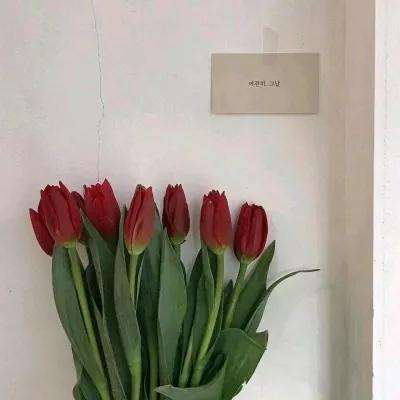 开元ky888vip下载手机版