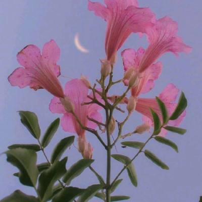 乐鱼体育app下载