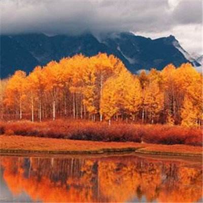 安博APP官网下载地址